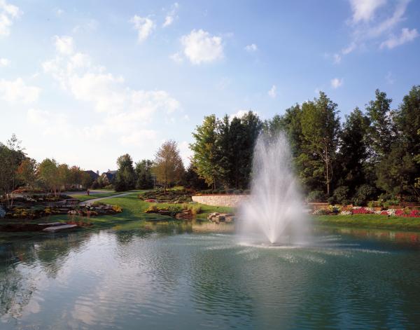 Ponds and Waterfalls