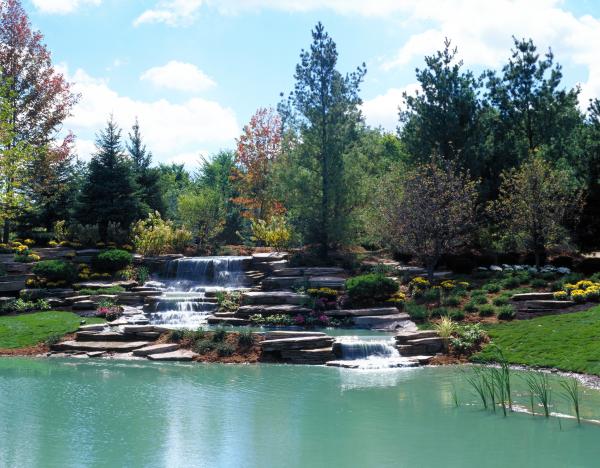 Ponds and Waterfalls