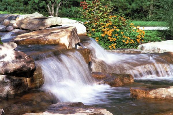 Ponds and Waterfalls