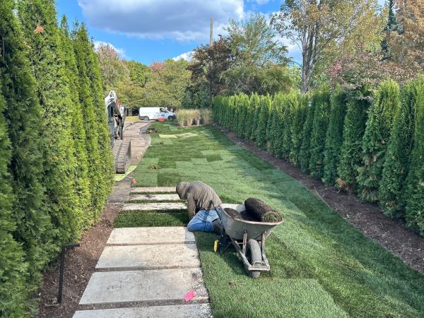 Lawn Installation