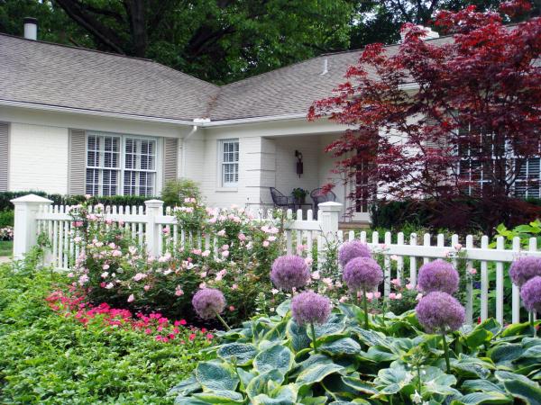 Fencing & Privacy Screens