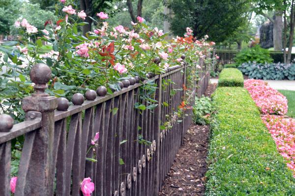 Fencing & Privacy Screens