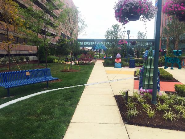 Parks & Public Spaces